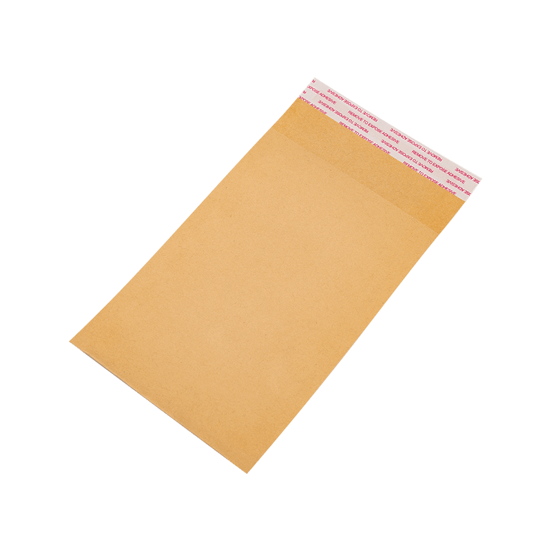 Biodegradable Kraft Paper Bags