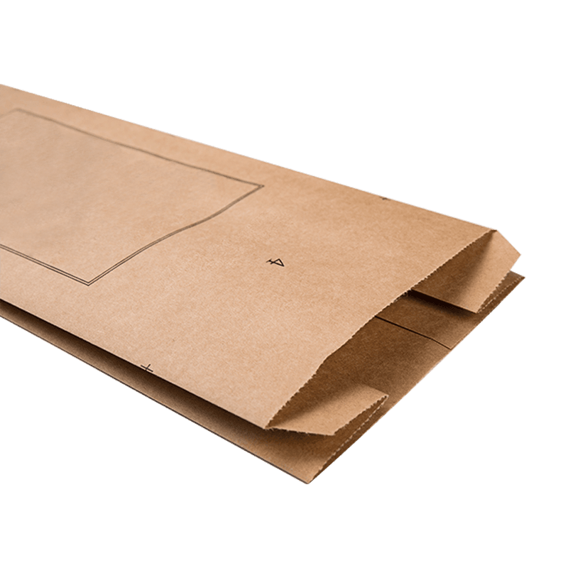 Biodegradable Printed Kraft Paper Bag