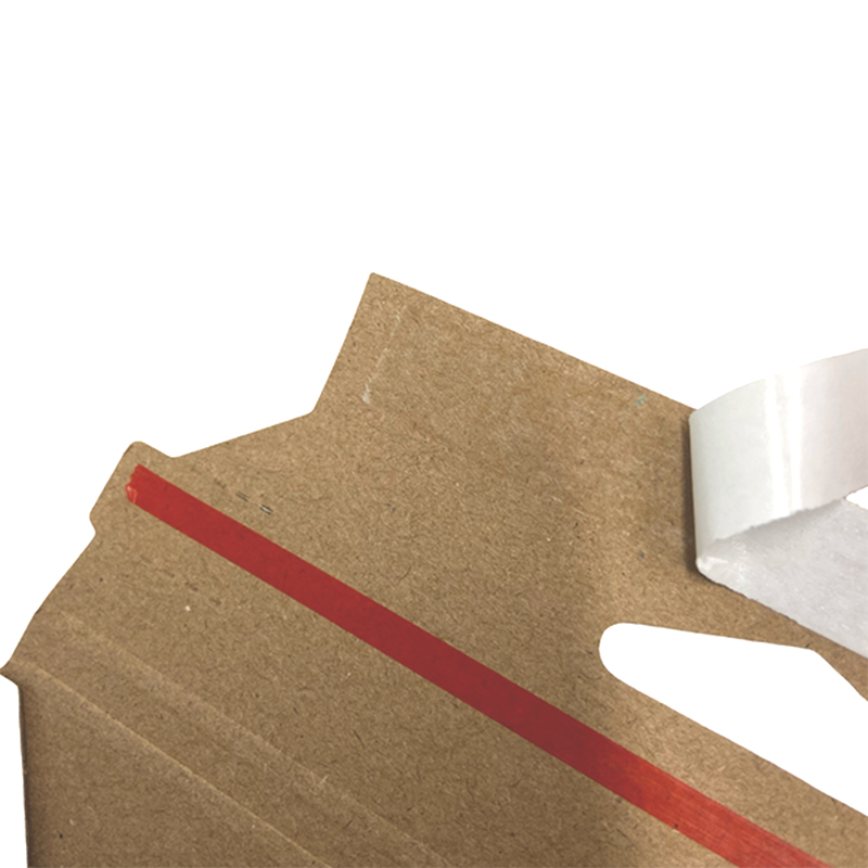 Biodegradable Document Envelopes